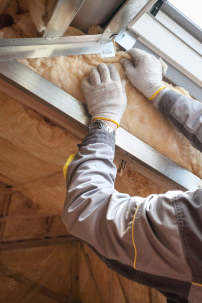 Best Residential Insulation in Edwardsville, PA